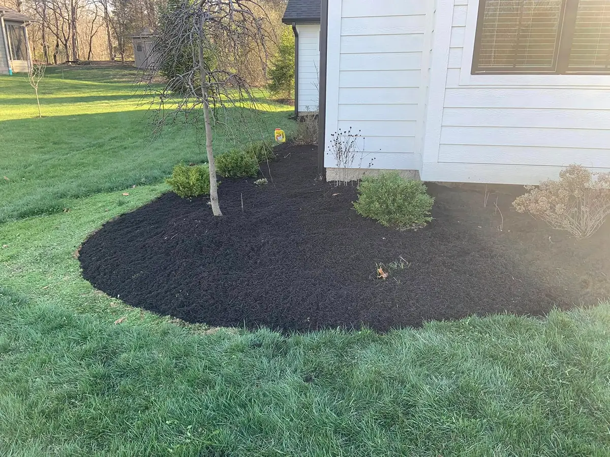 Mulching Services Near Me