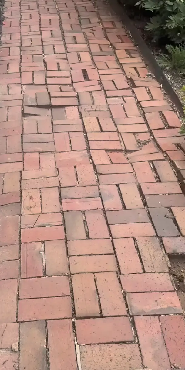 Pathway Repair